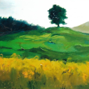 Artista contemporaneo Mario Fanconi